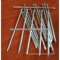 good quality polished headless nails factory with lower price